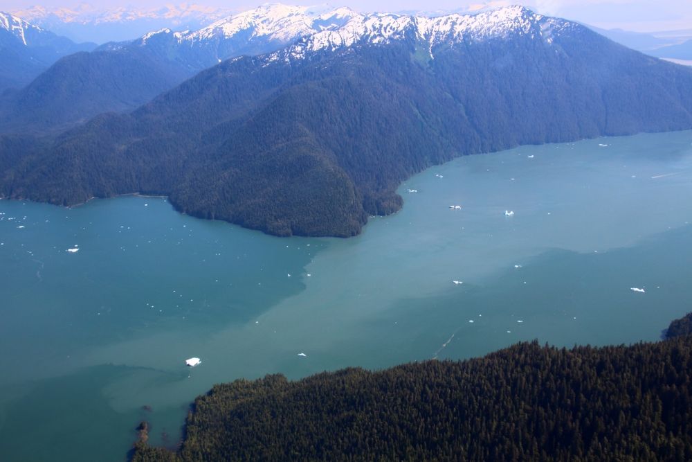 City_Attraction_Fort_Lauderdale_43f1c77b25