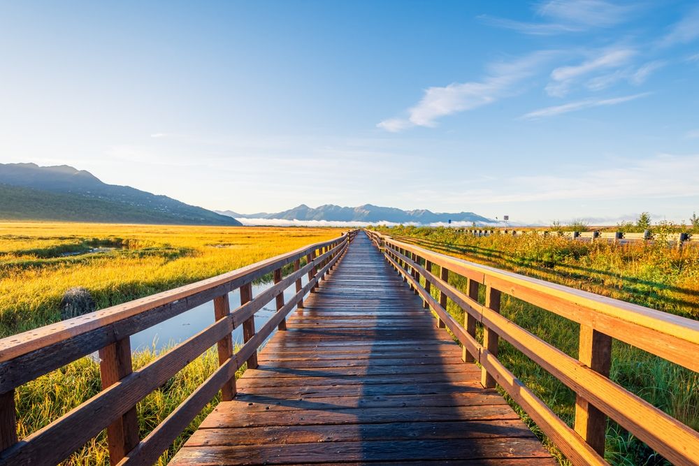 City_Pverview_anchorage_alaska_d5777bdab7