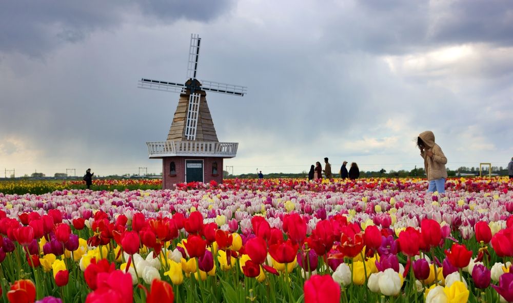 Kids_attraction_Amsterdam_a13fe9c202