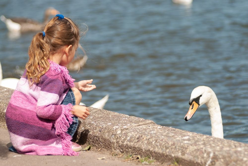 k_IDS_ATTRACTION_2c713750e7 (2)