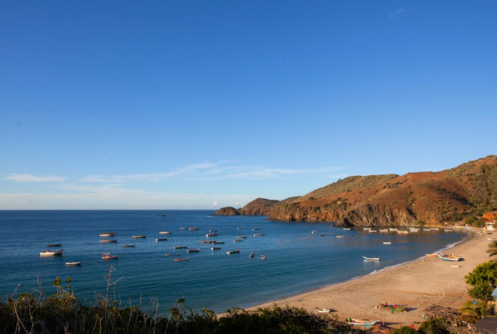 shutterstock_1351438175_1739000eb2