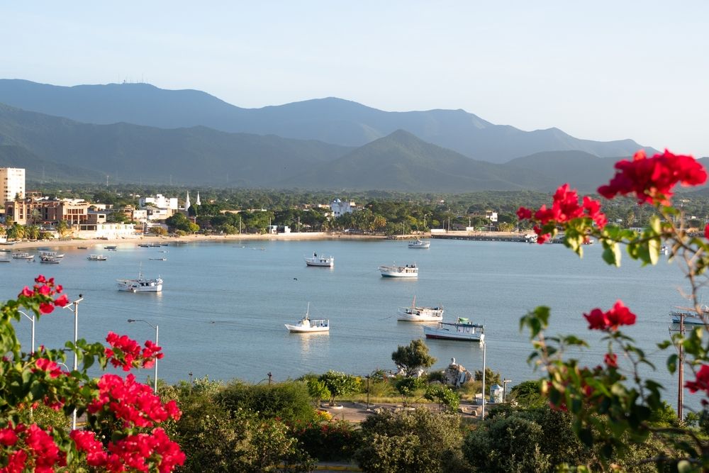 shutterstock_2279303871_3a2f4c3f5e (1)