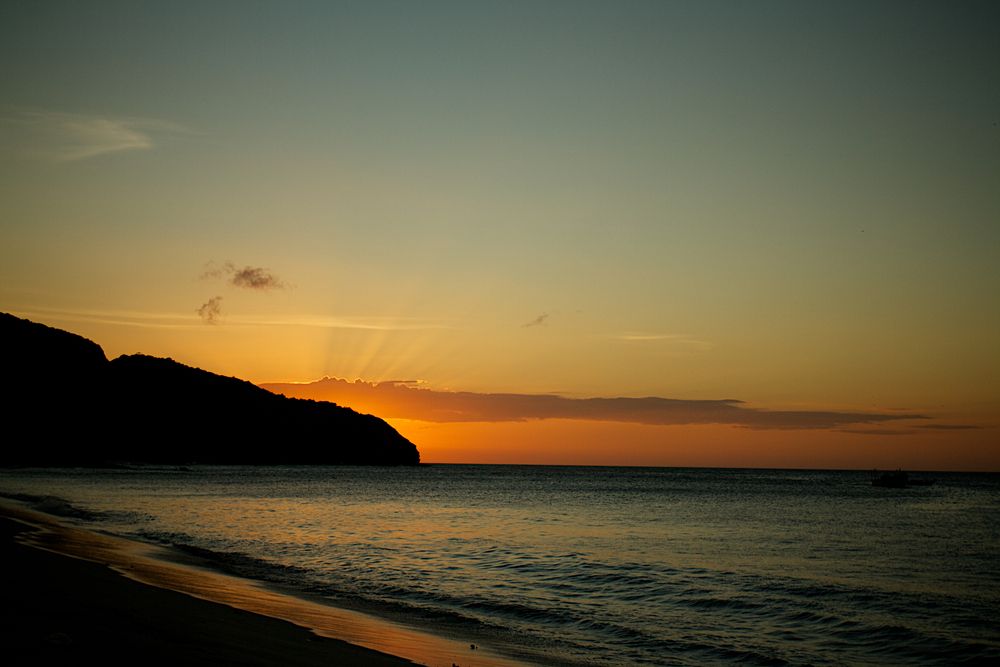 shutterstock_536242111_44a13d4c49