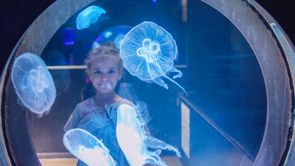 Aquarium_of_Lyon_27a07fc86e (1)