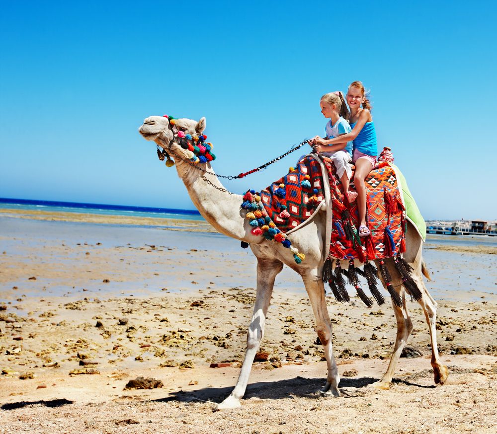 Camel_ride_ebbacfdc66