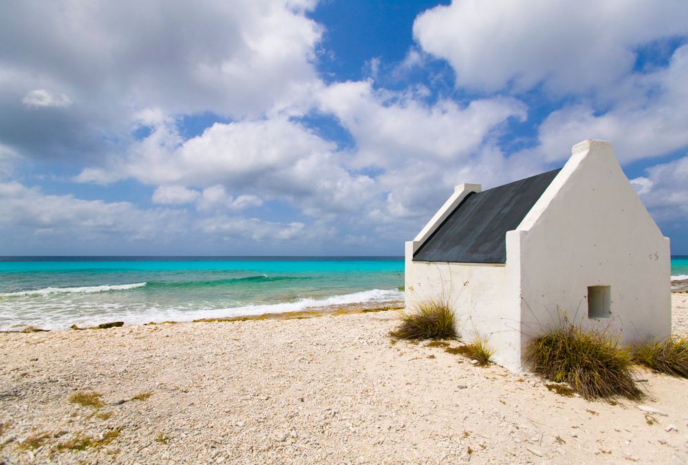 City_attraction_4_f9a0335ecb