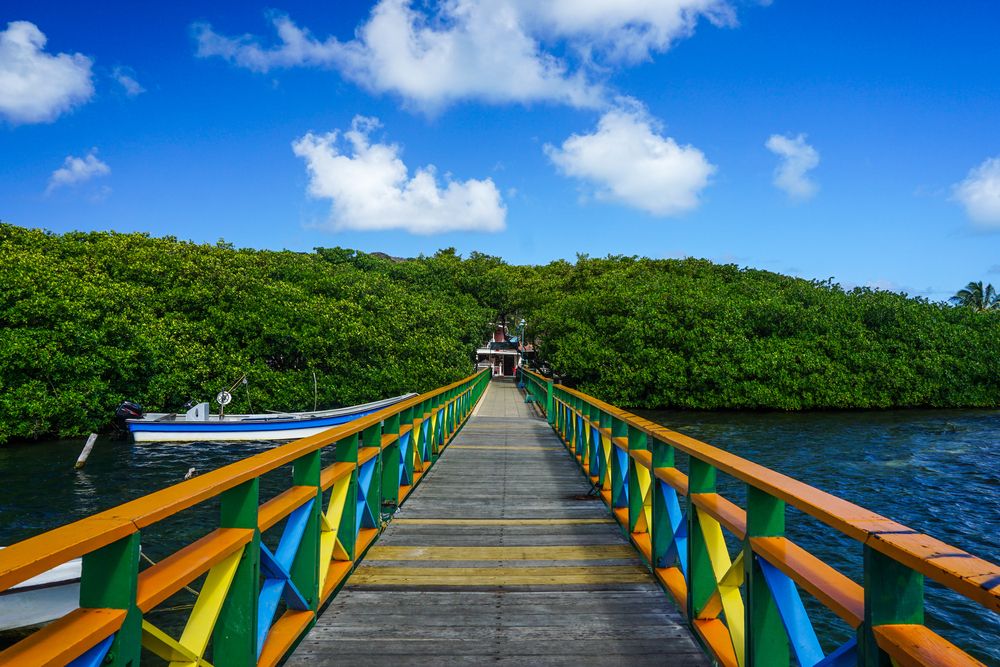 City_attraction_Santa_Catalina_Island_4f95192248