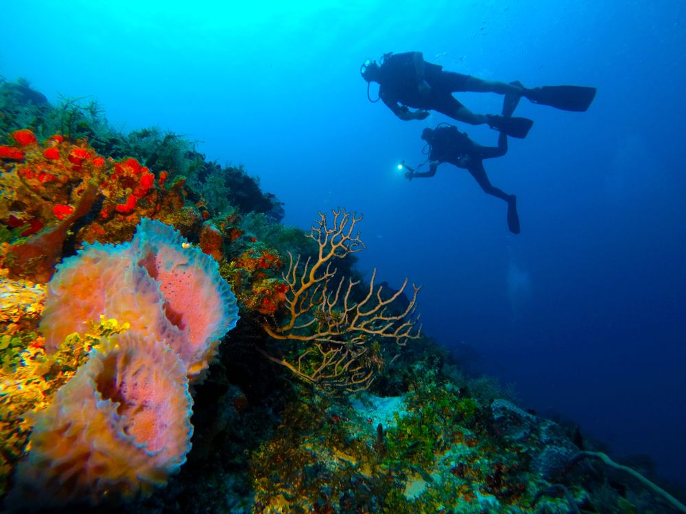 City_attraction_diving_snorkelling_Playa_del_Carmen_0ca7feb0db