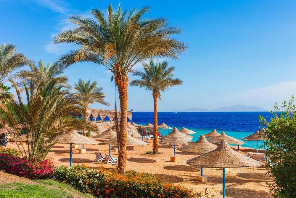 Cover_Sinai_Peninsula_ff50167cf4