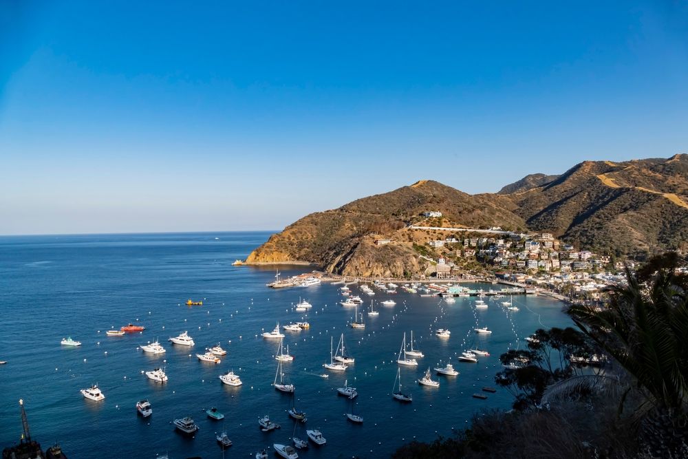 Historical_Background_Santa_Catalina_Island_73494e3104