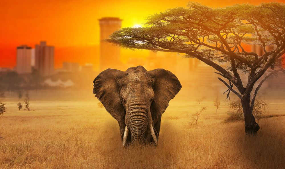 Historical_Backgrpnd_Nairobi_d4a93cbb5e