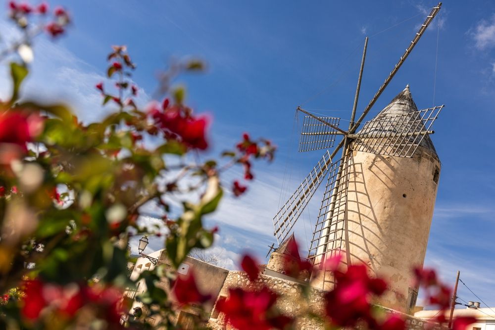 Kids_Attraction_Santa_Catalina_Island_8eec84099c