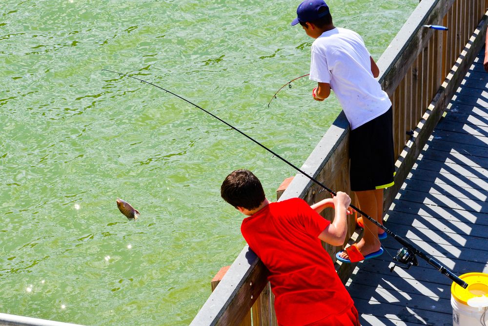 kids_attraction_tampa_bay_1ad534a45a