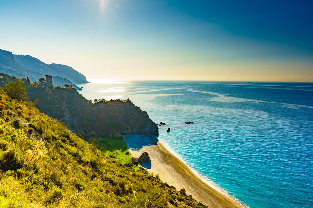 shutterstock_1915809976_4417dfbe2d (1)